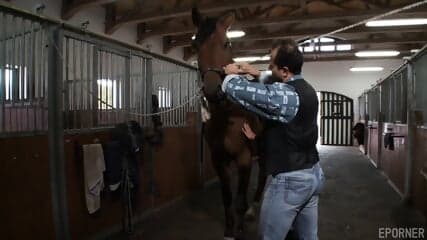 Lovely Lady Likes Horse And Cock Riding