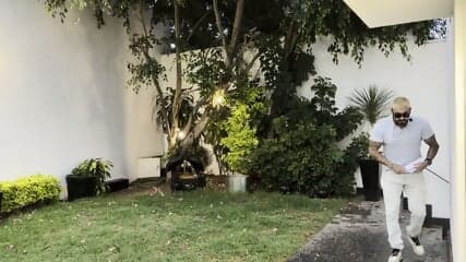 The Mexican Lawyer Gali Diva Anal